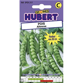 35 Graines de Pois Altesse - Format Petit Jardin