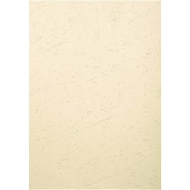 EXACOMPTA Paquet 100 plat de couverture A3 FOREVER