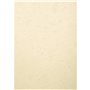 EXACOMPTA Paquet 100 plat de couverture A3 FOREVER
