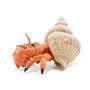 Papo - Figurine Animal - Bernard l'hermite, Découverte Marine, Jouet Enfant dès 3 Ans - Aventure sous-Marine Peinte à la Main po