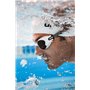 Arena The One Plus Lunettes Unisex-Adult, Bleu, TU