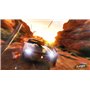 Flatout 4 : Total Insanity