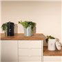 Livoo Seau a compost de cuisine 6l noir - MES154N