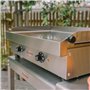 KRAMPOUZ Plancha Électrique SAMBA - Plaque de Cuisson en Inox 54 x 33 cm - 2500 Watts - 2 Zones de Cuisson - 2 Thermostats jusqu