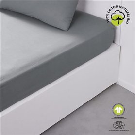 Drap housse - TODAY - 160 x 200 cm + 30 cm - Coton - Organic Acier