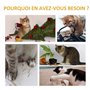 PawHut Arbre à Chat Arbre à Grimper griffoir pour Chat Balle Suspendue Hauteur 43 cm avec Poteau Jute à griffer Gris