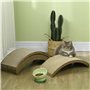 Planches à gratter réversibles pour Chat