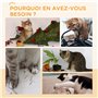 Remplacement pour Tapis de Course