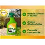 Solabiol SOSAVPAL1 Savon noir Prêt-à-l'emploi - 100% Origine Végétale