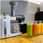 Extracteur de jus de fruits pressés à Froid Machine SPEZIA H36cm 200W avec moteur silencieux et fonction d'inversion