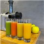 Extracteur de jus de fruits pressés à Froid Machine SPEZIA H36cm 200W avec moteur silencieux et fonction d'inversion