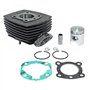 cyclingcolors cylindre moteur moto cyclomoteur scooter mobylette 50cc compatible avec peugeot 103 sp mvl spx rcx vogue air