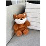 PLIC CARE - Bouillotte Doudou Renard 2 en 1 - Peluche Toute Douce Bébé & Enfant - Action Chaud et Froid - Bouillotte Sèche Micro