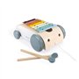 Janod - Xylo Roller en Bois Sweet Cocoon - Jouet 2 en 1, Xylophone en Bois à Tirer - Roues Silencieuses - Design Unique en Bois 