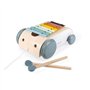 Janod - Xylo Roller en Bois Sweet Cocoon - Jouet 2 en 1, Xylophone en Bois à Tirer - Roues Silencieuses - Design Unique en Bois 