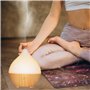 Zen’Arôme Diffuseur Huile Essentielle Leo – Diffuseur Ultrasonique Aromathérapie à Froid – Diffuseur Électrique pour Parfum Mais