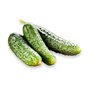 50 graines à semer - Le Grenier d'Abondance - CORNICHON Fin de Meaux - Cucumis sativus