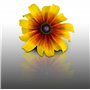 100 graines Fleurs à semer - Le Grenier d'Abondance - RUDBECKIA Hirta Gloriosa Daisies