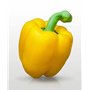 25 graines à semer - Le Grenier d'Abondance - POIVRON Jaune California - Capsicum annuum