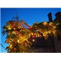 Guirlande Lumineuse Intérieure et Extérieure 120 LED Rouge et Blanc Chaud Longueur de 9m50 Indice IP44 Terrasse Jardin Déco Sapi