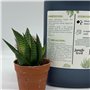 Jungle Feed Engrais Liquide Cactus et Succulentes - 500ml - Made In France - 100% bio