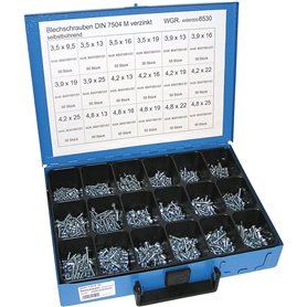 Dresselhaus 8530 Coffret de vis à tôle Autoperceuses Galvanisées (Import Allemagne)