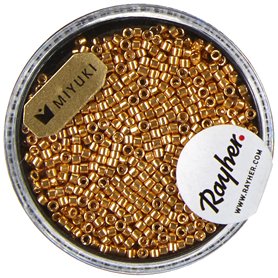 Rayher Perles Delica Miyuki