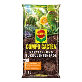 Compo 1122102004 cactea Cactus et succulente Terre