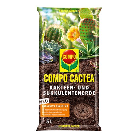 Compo 1122102004 cactea Cactus et succulente Terre