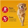 Pedigree Ranchos Originals – Récompenses riches en viande pour chien – Friandises au poulet – Tendres et savoureuses – 7 sachets