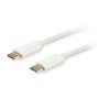 Câble USB-C vers USB-C Equip 128351 1 m Blanc