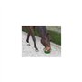 Delizia KERBL Bronchial Bloc à Lécher pour Cheval 6 kg