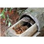 Lucky Reptile Sphagnum Moss - 500 g Brique de Mousse pour Terrarium - Augmente l'humidité de l'air - Mousse de Culture contrôlée