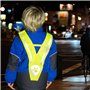 POS 31479 – Gilet de sécurité pour Enfant en Forme Triangulaire avec Motif Paw Patrol Tendance, col de sécurité Jaune Fluo avec 