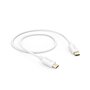 Câble USB Hama 00201590 Blanc