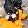 Scubapro Seahawk Noire + INFLATEUR L Kit de détendeur pour plongée en Eau Froide Unisex-Adult, BlackOne, L