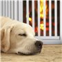 pour Enfants et Chiens
