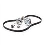 Febi bilstein 104866 - Pompe à eau + kit de courroie de distribution