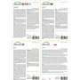 SAFLAX - Kit cadeau - Cacahuète - 8 graines - Arachis hypogaea