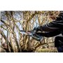 Metabo scie sans fil pour arbustes MS 18 LTX 15 – 18 V – Idéale pour la taille des arbres et des végétaux, vitesse de chaîne éle