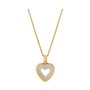 Pendentif Femme Skagen SKJ1679998 Doré