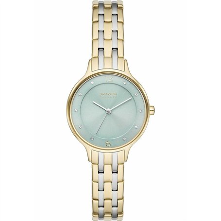 Montre Femme Skagen SKW3132