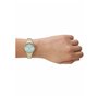 Montre Femme Skagen SKW3132