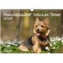 Hundezauber Yorkshire Terrier Calendrier DIN A3 pour chiots et chiens 2025 – Coffret cadeau Contenu : 1 calendrier