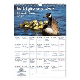 Wildgansezauber Planificateur format A3 pour oies sauvages 2025 - Coffret cadeau - 1 calendrier - 1 pendentif de Noël - 1 penden