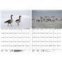 Wildgansezauber Planificateur format A3 pour oies sauvages 2025 - Coffret cadeau - 1 calendrier - 1 pendentif de Noël - 1 penden