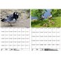 Wildgansezauber Planificateur format A3 pour oies sauvages 2025 - Coffret cadeau - 1 calendrier - 1 pendentif de Noël - 1 penden