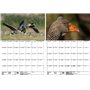 Wildgansezauber Planificateur format A3 pour oies sauvages 2025 - Coffret cadeau - 1 calendrier - 1 pendentif de Noël - 1 penden