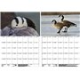 Wildgansezauber Planificateur format A3 pour oies sauvages 2025 - Coffret cadeau - 1 calendrier - 1 pendentif de Noël - 1 penden