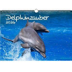Delphinzauber Calendrier DIN A3 pour 2026 dauphin – Coffret cadeau Contenu : 1 calendrier